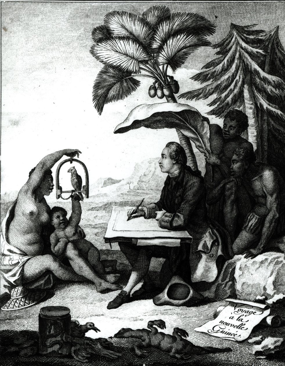 Pierre Sonnerat tegner en fugl, fra 