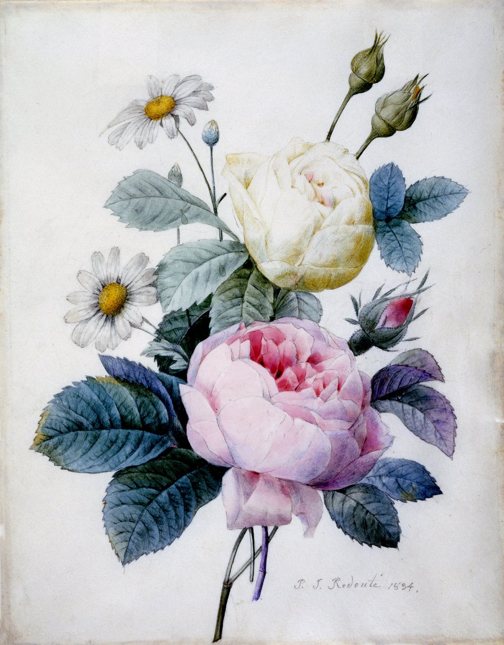 Buket roser med tusindfryd, udgivet 1834 (stipplegravering håndfarvet) af Pierre Joseph Redouté