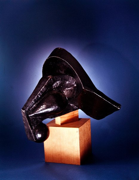 Hoved af en hest af Pierre Maurice Raymond Duchamp Villon