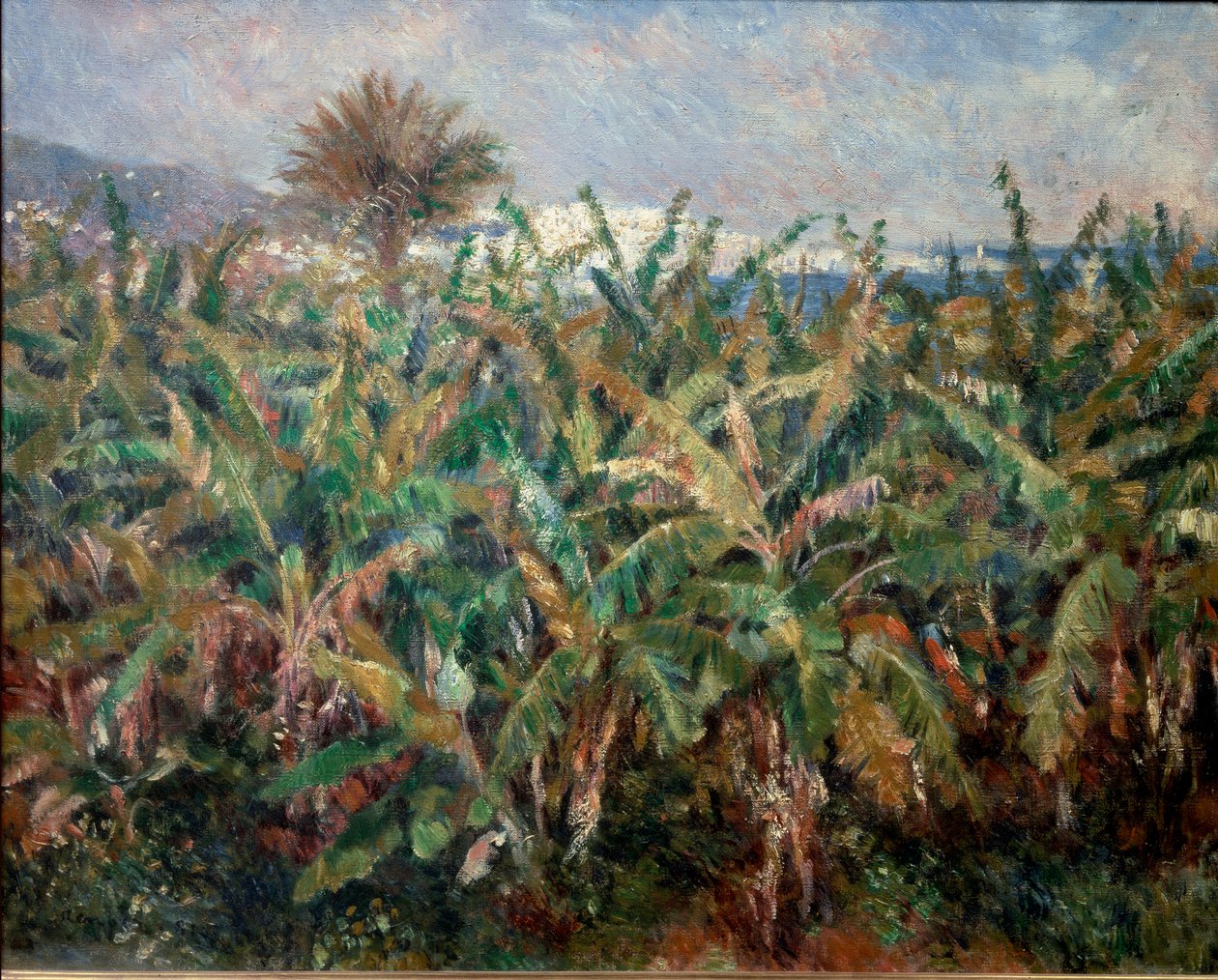 Bananmark af Pierre Auguste Renoir