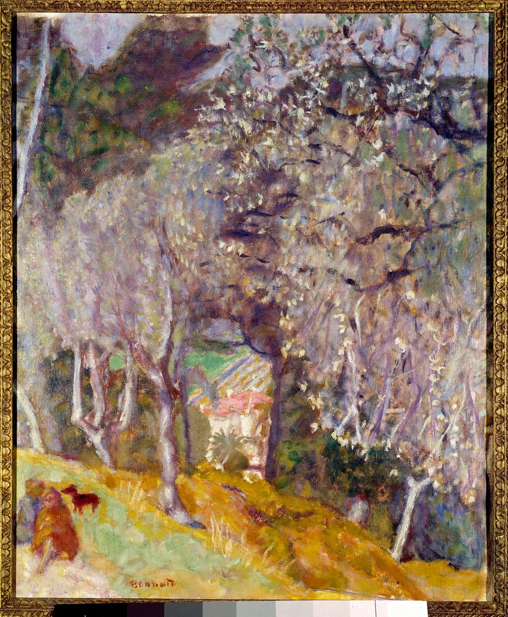 Hus i Oliven af Pierre Bonnard