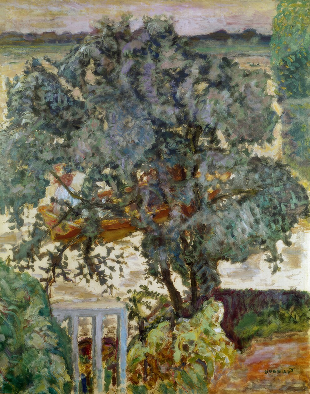 Træet ved floden af Pierre Bonnard