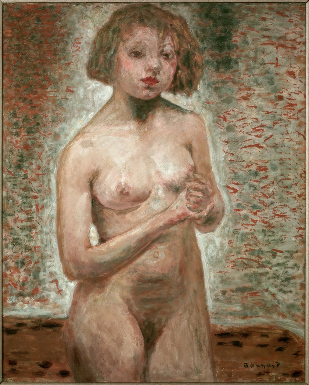 Ikke af Pierre Bonnard