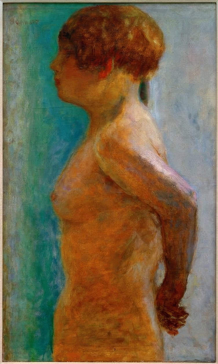 Kvindelig torso i profil af Pierre Bonnard