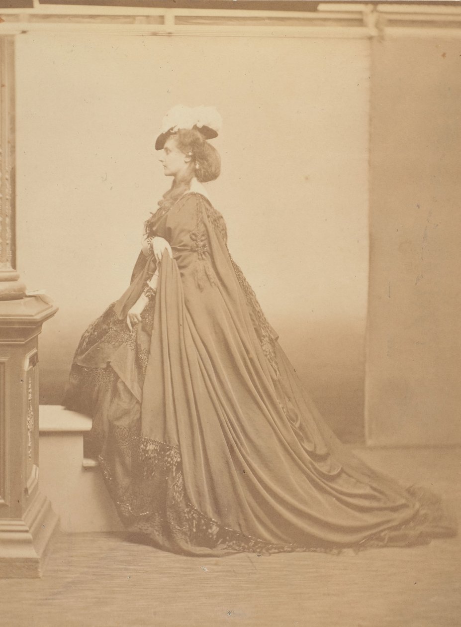 Den fjerklædte hat, 1860