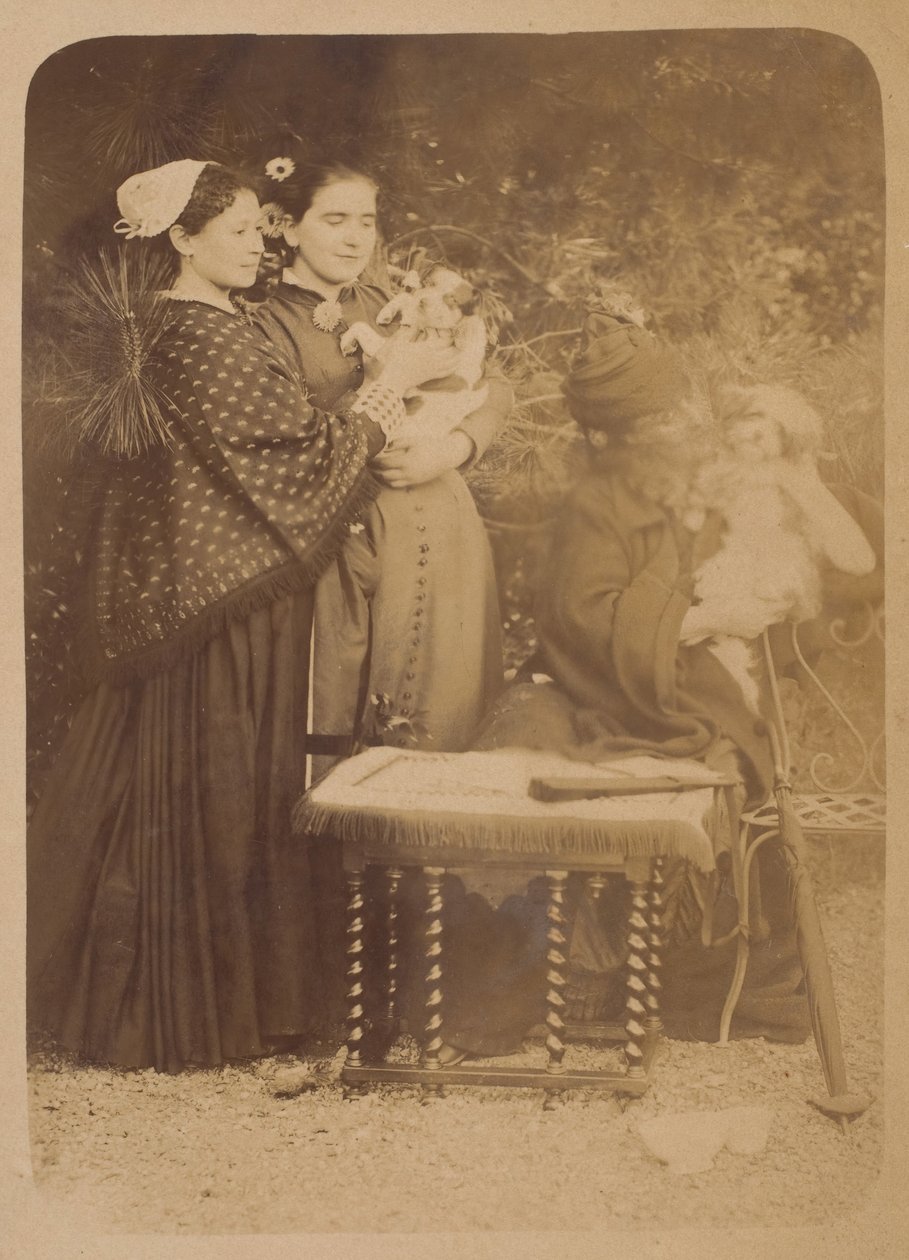Hundene, 1860