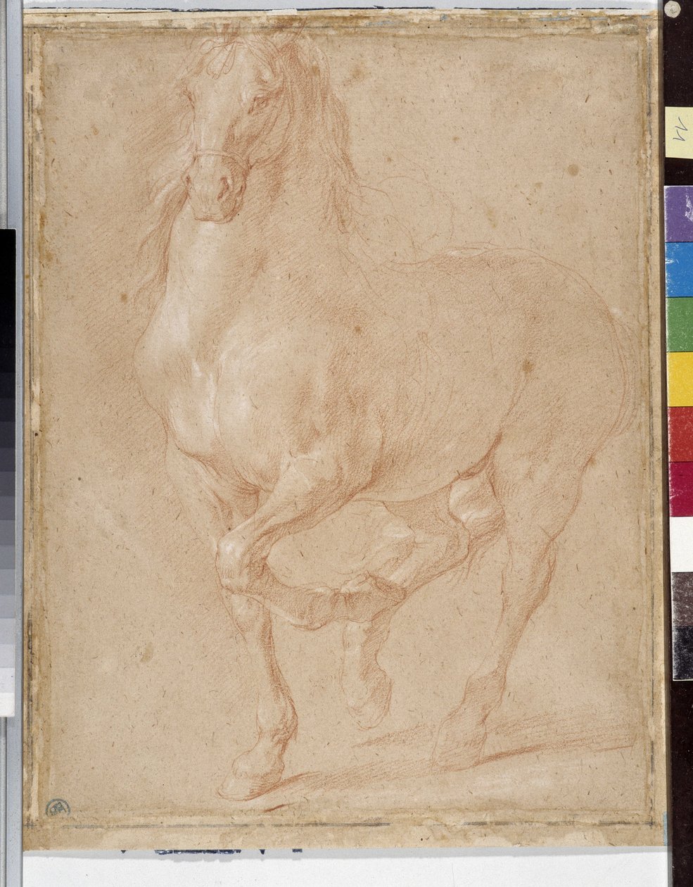 Hestestudie (sangvinsk) af Pierre Puget