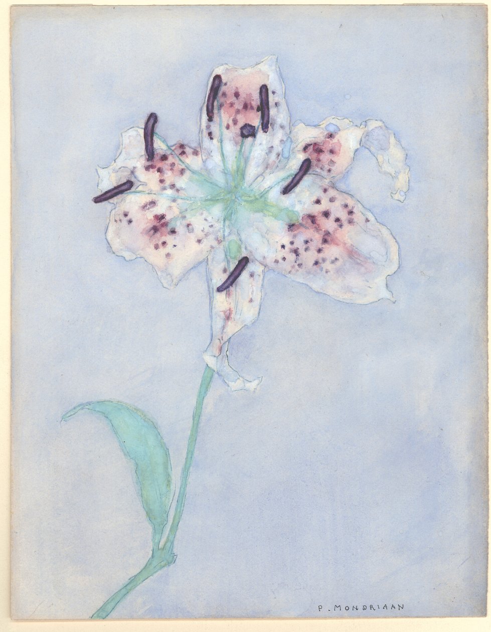 Lily, efter 1921 (wc på papir) af Piet Mondrian