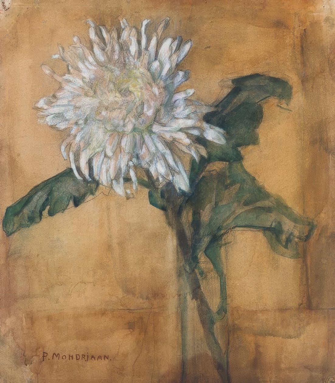 Krysantemum af Piet Mondrian