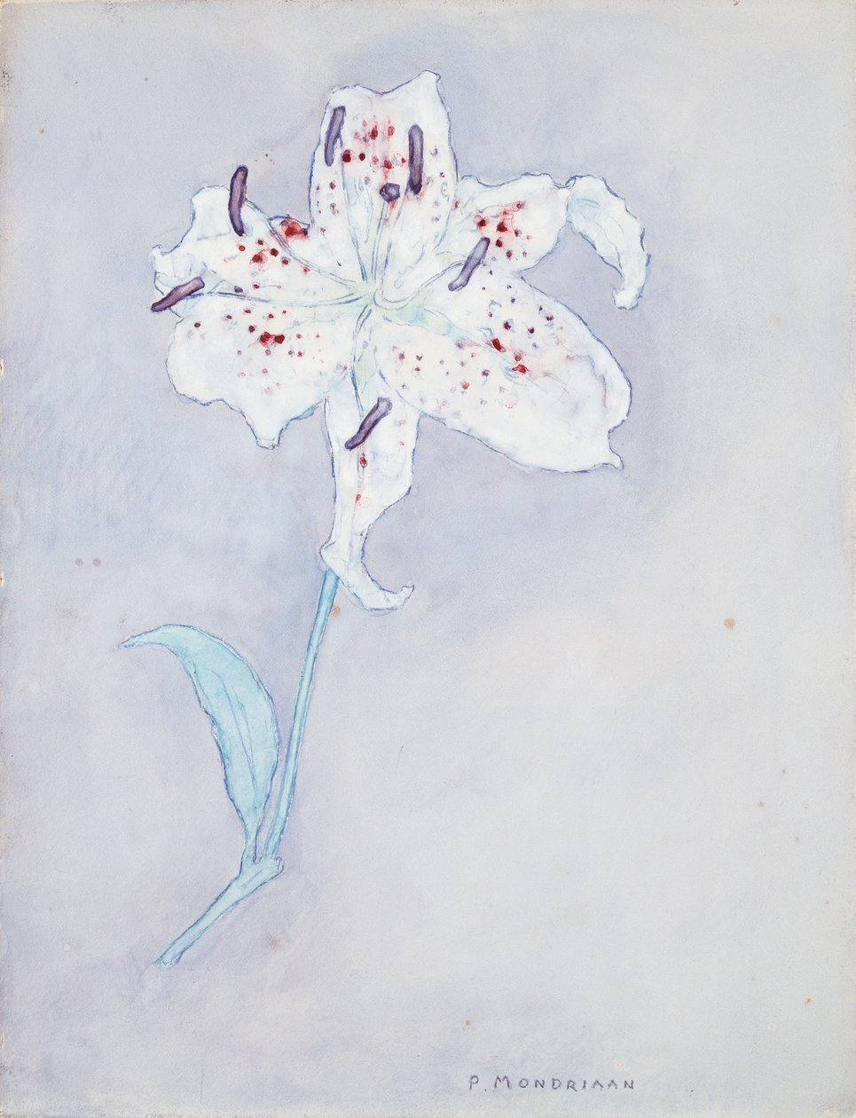 Lily, ca. 1920-25 (akvarel på papir) af Piet Mondrian