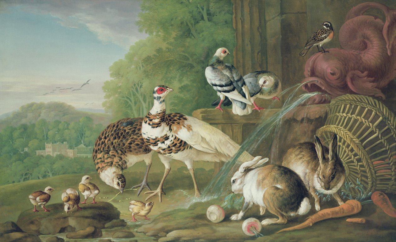 Fugle og kaniner af Pieter Casteels