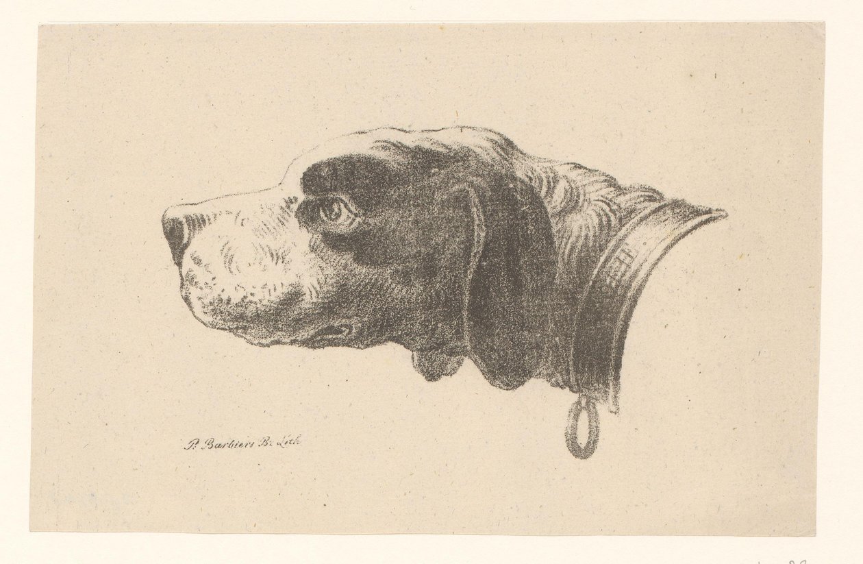 Hundehoved med halsbånd af Pieter Bartholomeusz. Barbiers