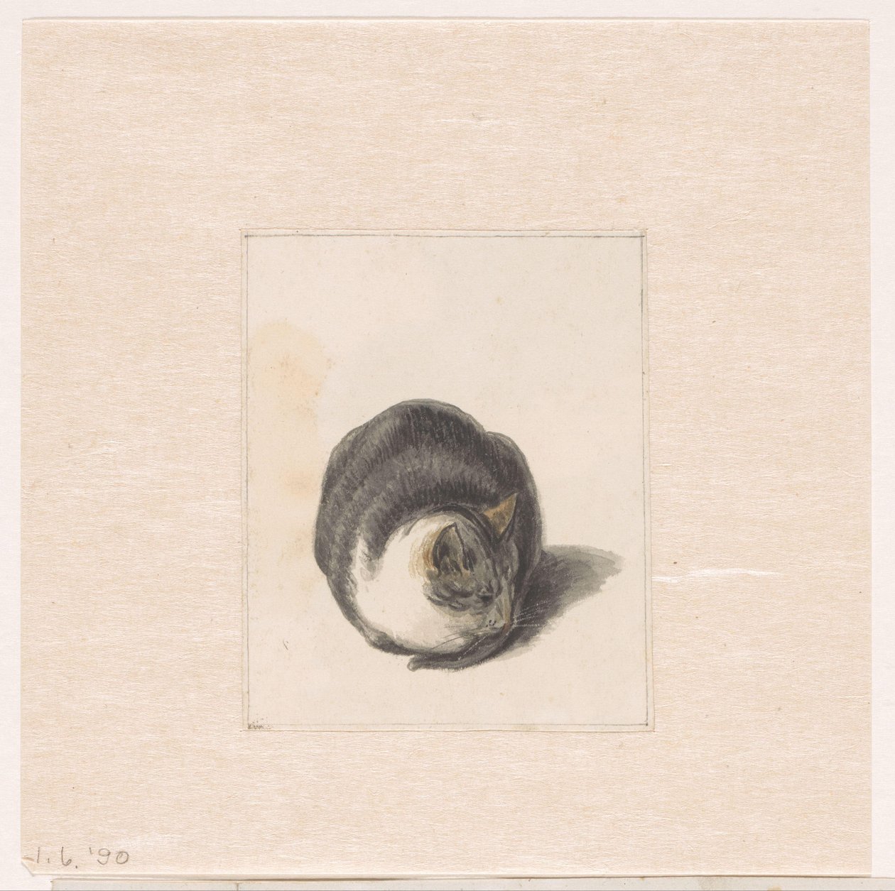 Siddende kat, set forfra af Pieter Bartholomeusz. Barbiers