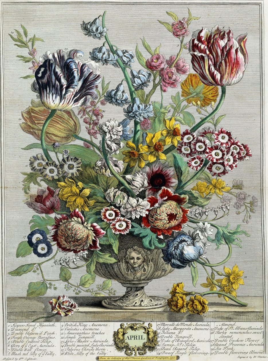 april, fra "Tolv måneders blomster", 1730 af Pieter Casteels