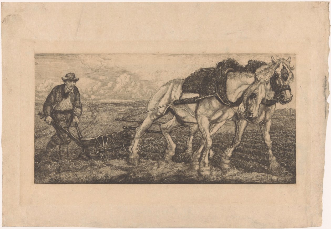 To pløjeheste af Pieter Dupont