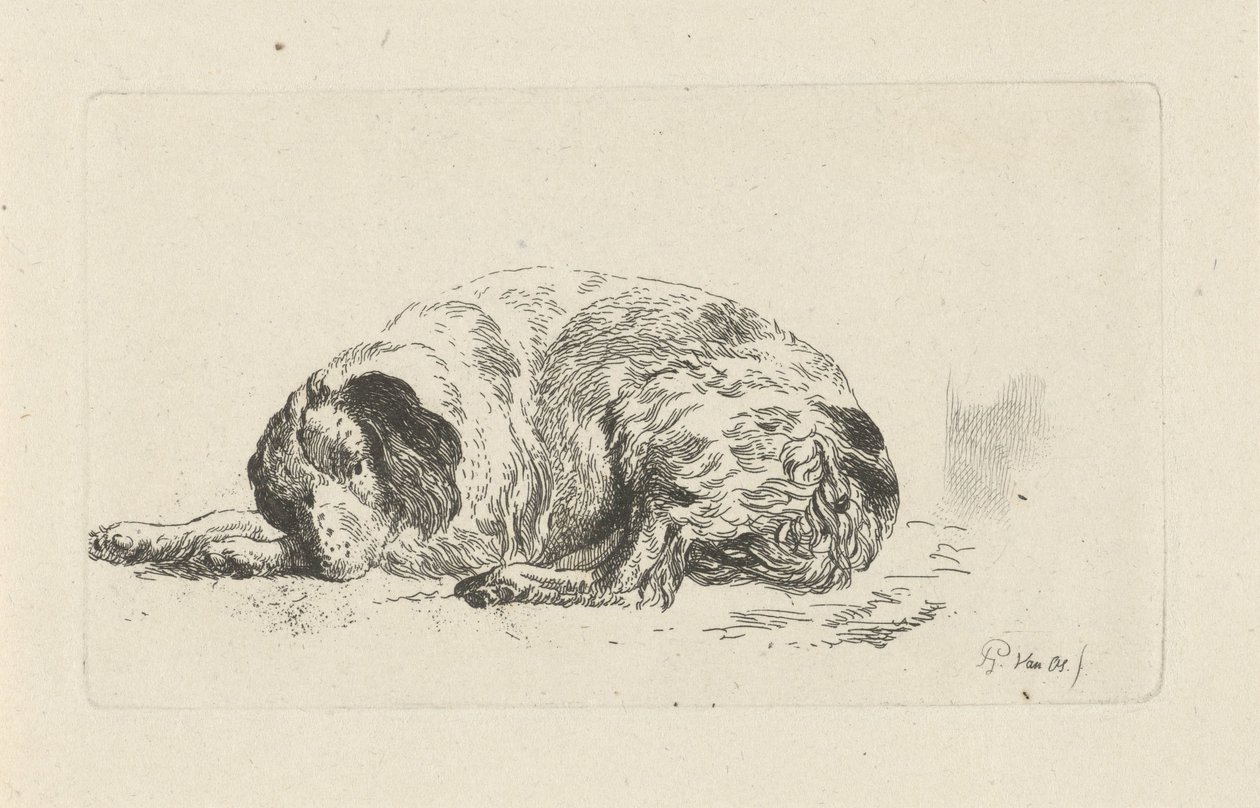 liggende hund af Pieter Gerardus van Os