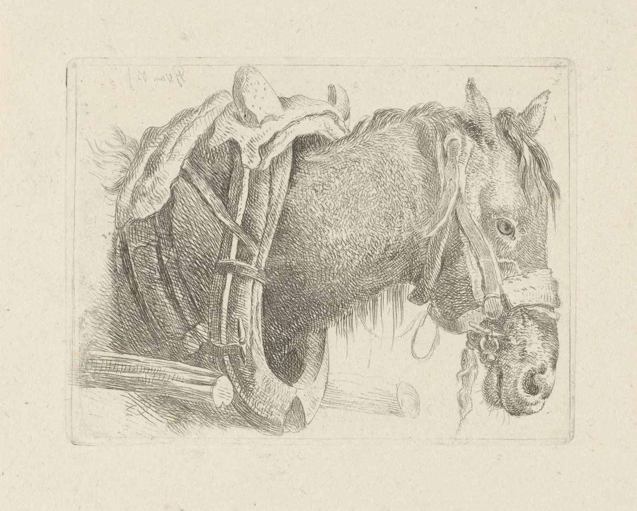 Studie af et hestehoved af Pieter Gerardus van Os