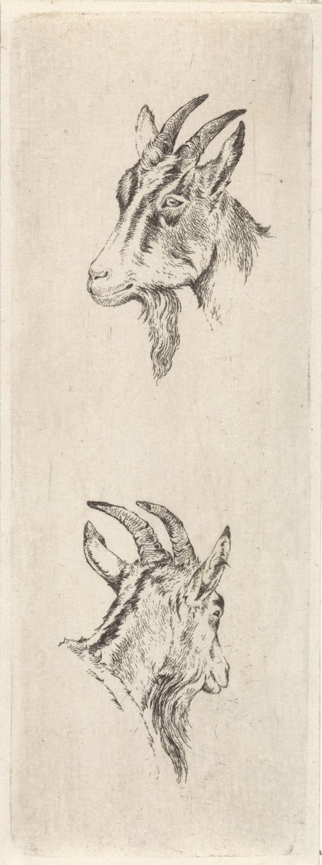 gedehoved af Pieter Janson