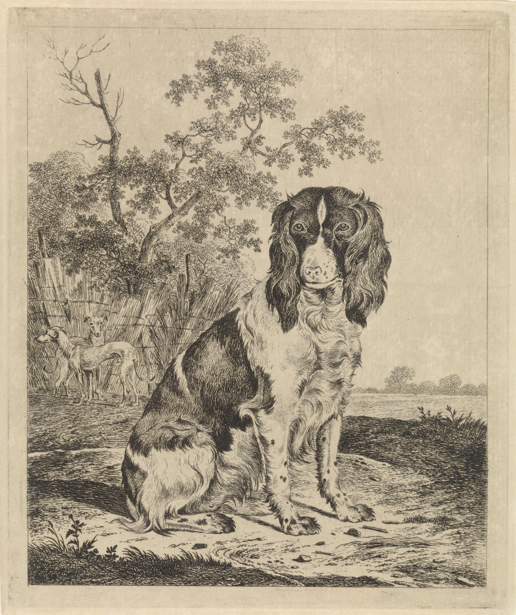 Siddende agerhønehund af Pieter Janson