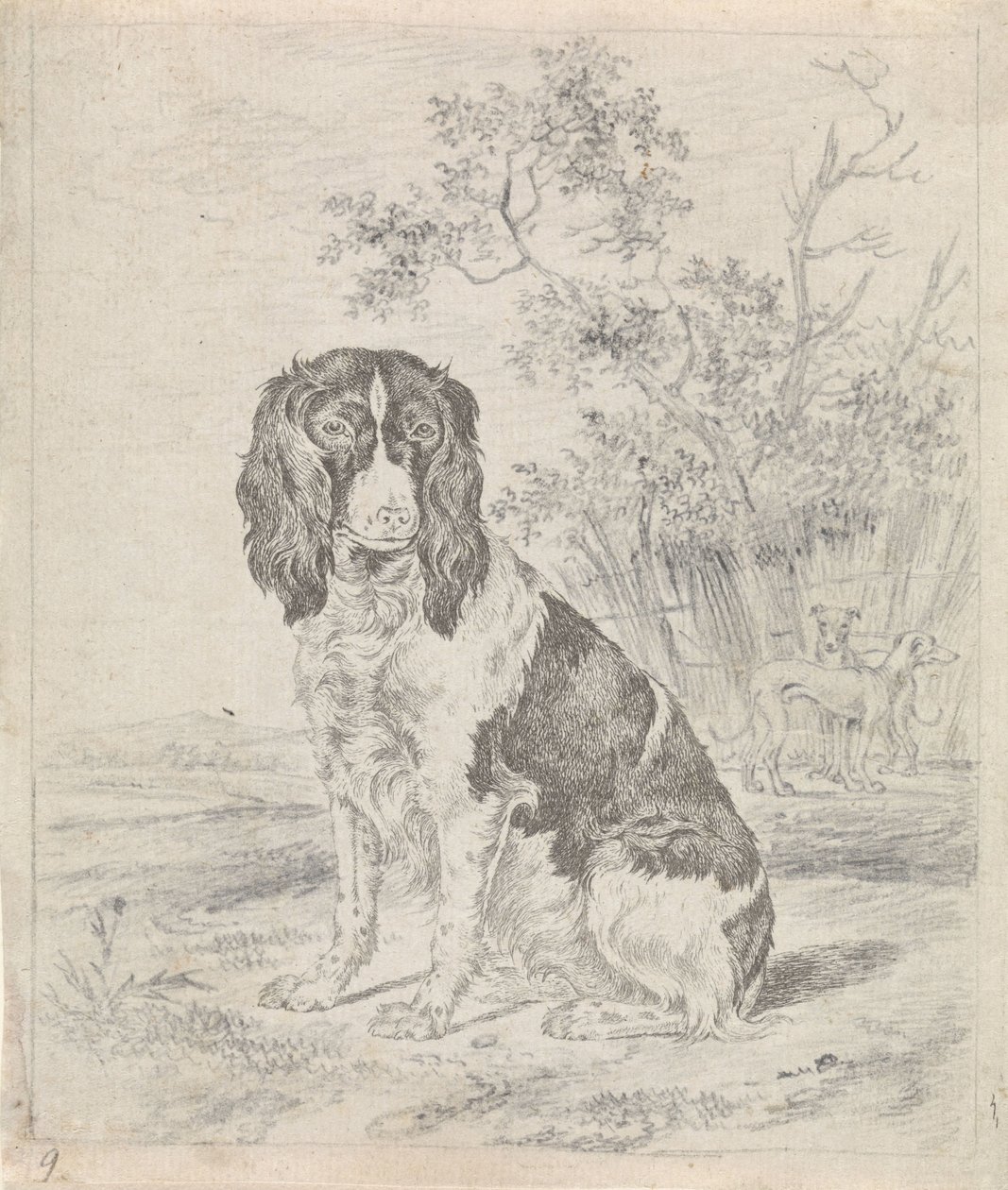 Siddende agerhønehund af Pieter Janson