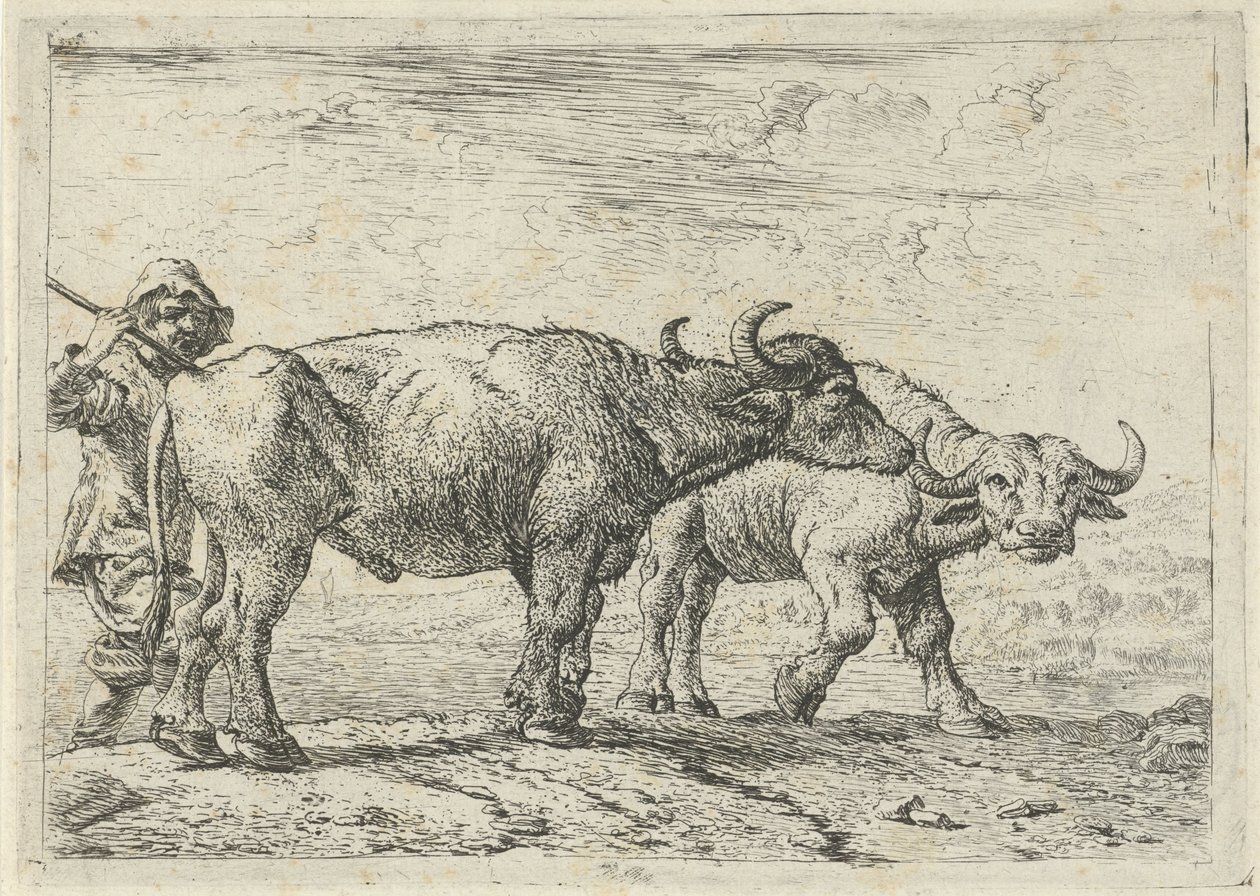 To bøfler og en hyrde af Pieter van Laer