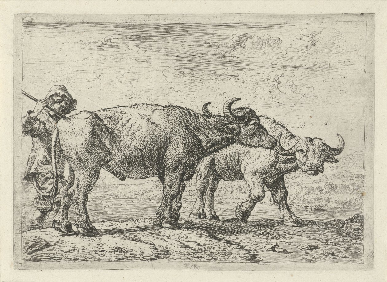 To bøfler og en hyrde af Pieter van Laer