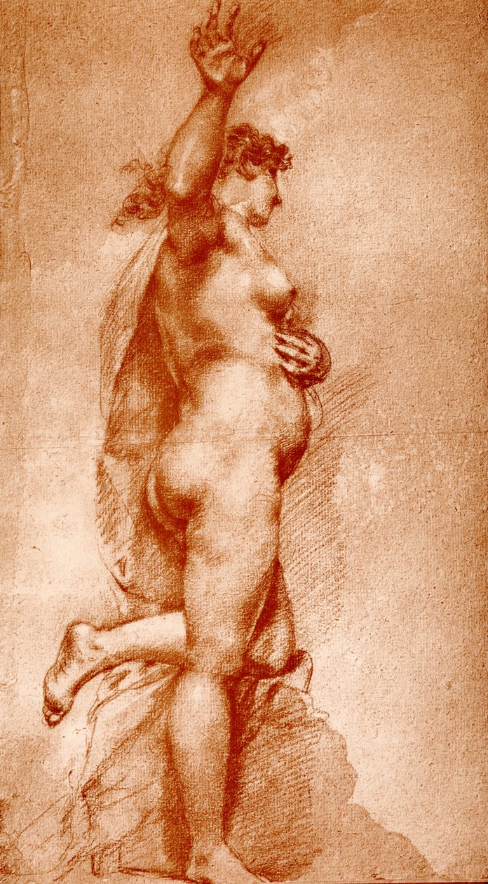 Kvinde nøgen af Pietro Liberi