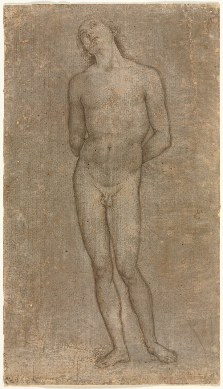 Sankt Sebastian, ca. 1493. af Pietro Perugino