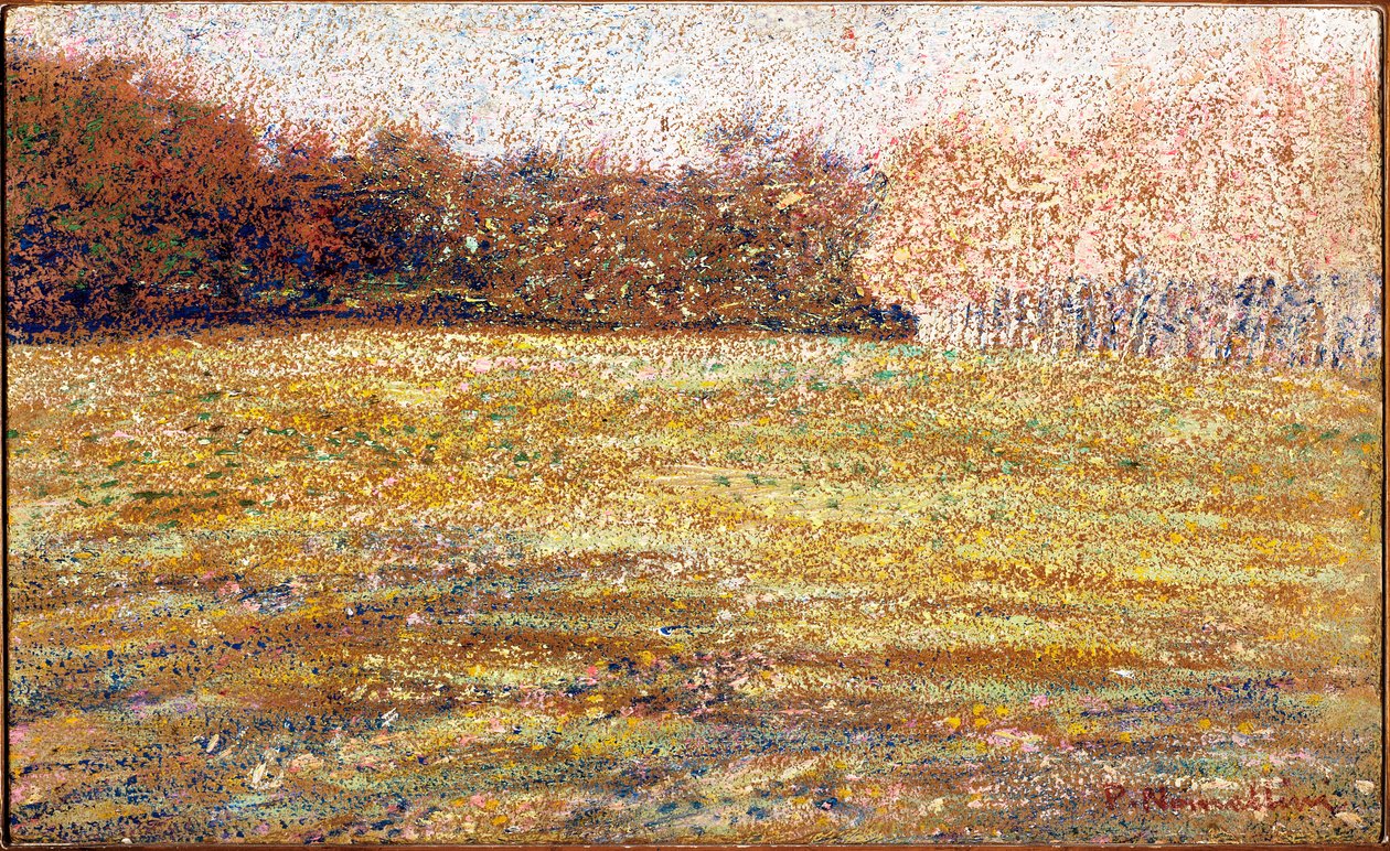 Ved Cascine, Firenze, 1889-90 af Plinio Nomellini