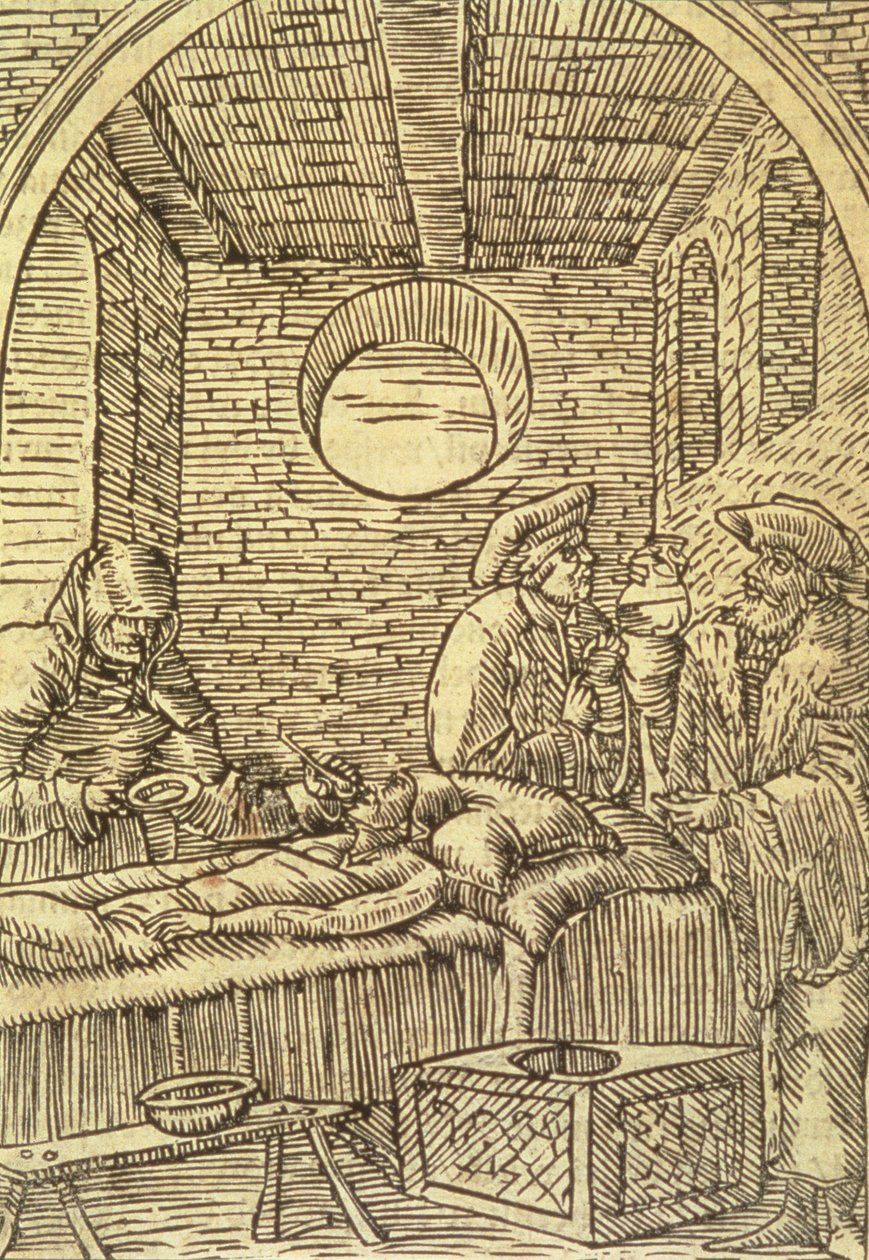 Administration af lægeurter, 1534 af Polish School