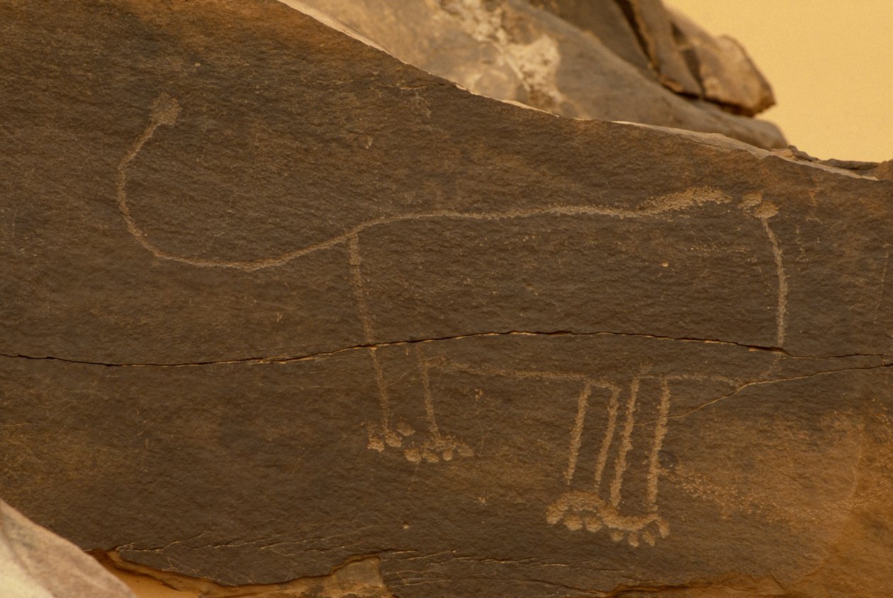 Dyr (klippeudskæring) af Prehistoric
