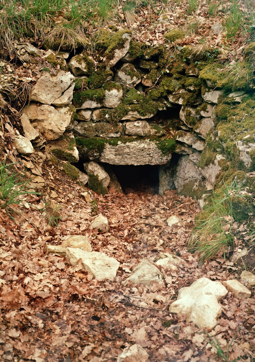 Overdækket indgang til en tumulus af Prehistoric