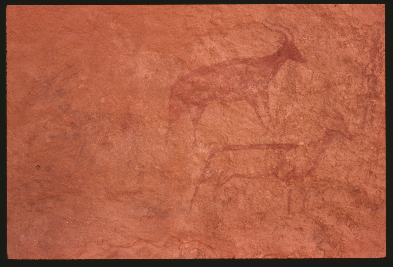 Køer (klippemaleri) af Prehistoric
