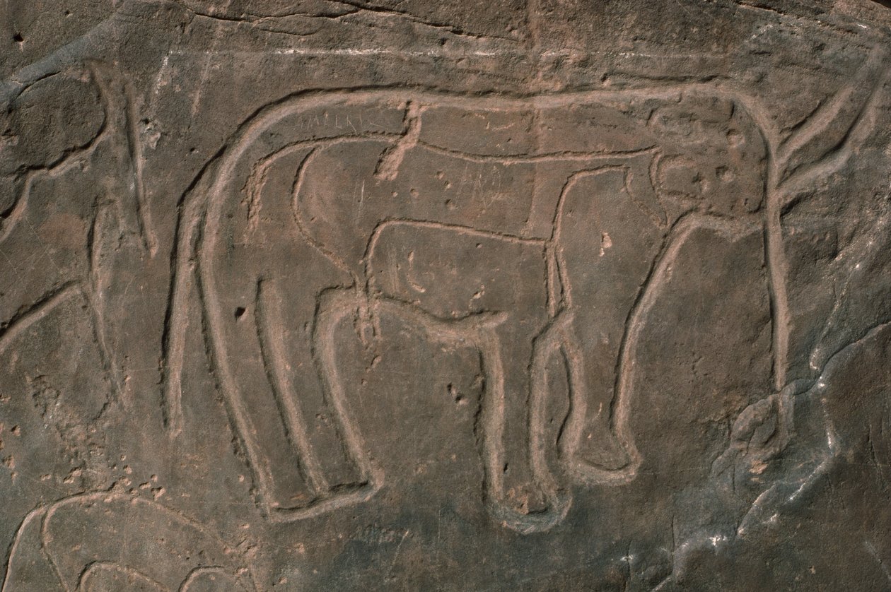 Mammoth (helleristning) af Prehistoric
