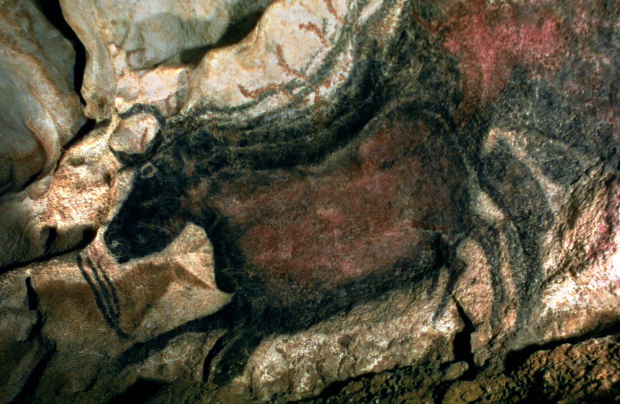 Klippemaleri af en sort tyr, ca. 17000 f.Kr. (hulemaleri) af Prehistoric