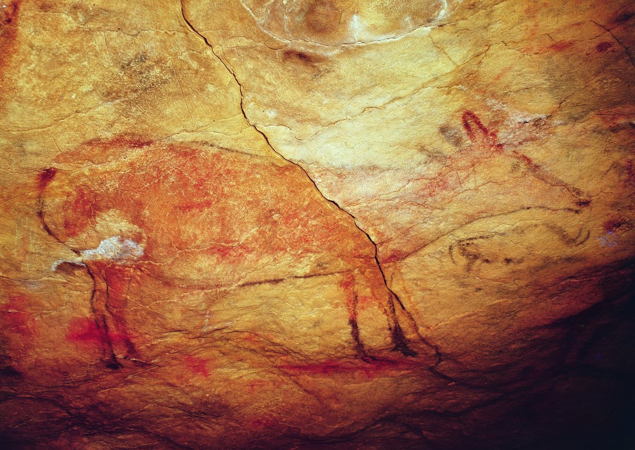 Hjort fra Altamira-hulerne, ca. 15.000 f.Kr. (hulemaleri) af Prehistoric