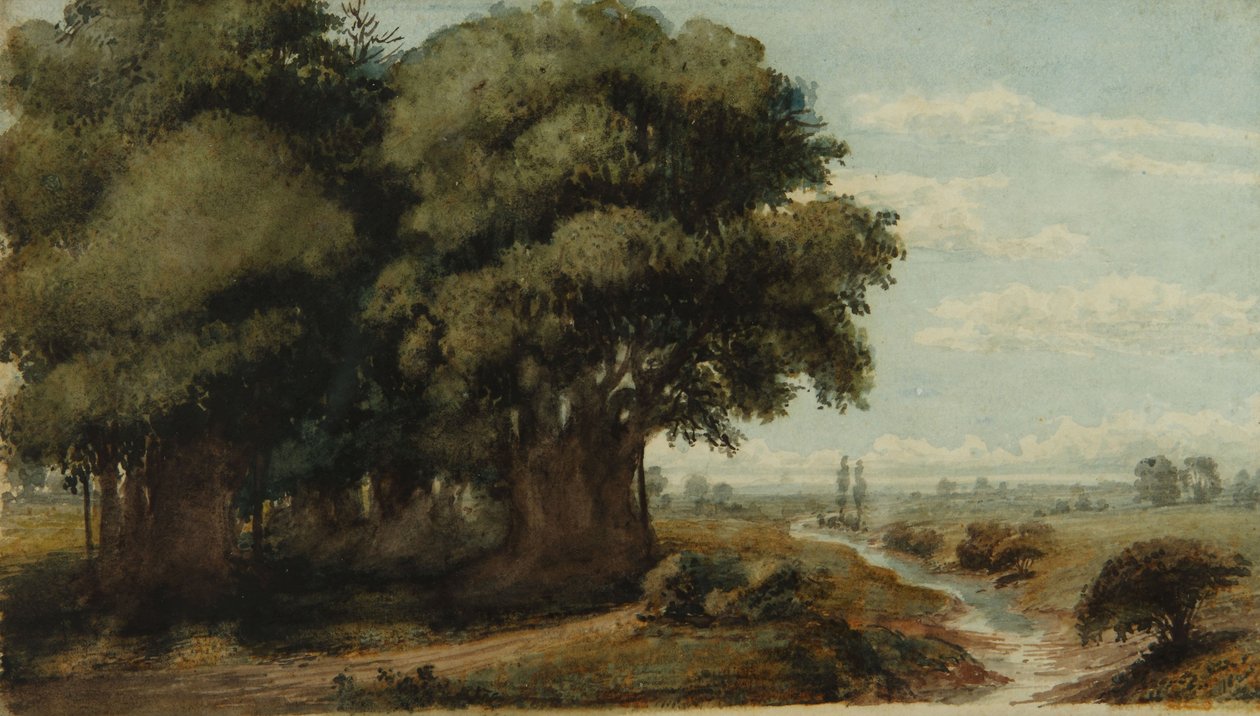 Caprocho (Olivos 13. november 1858) af Prilidiano Pueyrredon