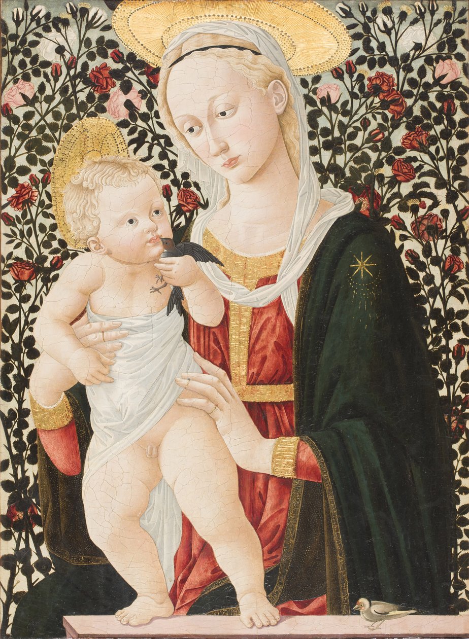 Madonna of the Roses, ca. 1485-90 (tempera) af Pier Francesco Fiorentino