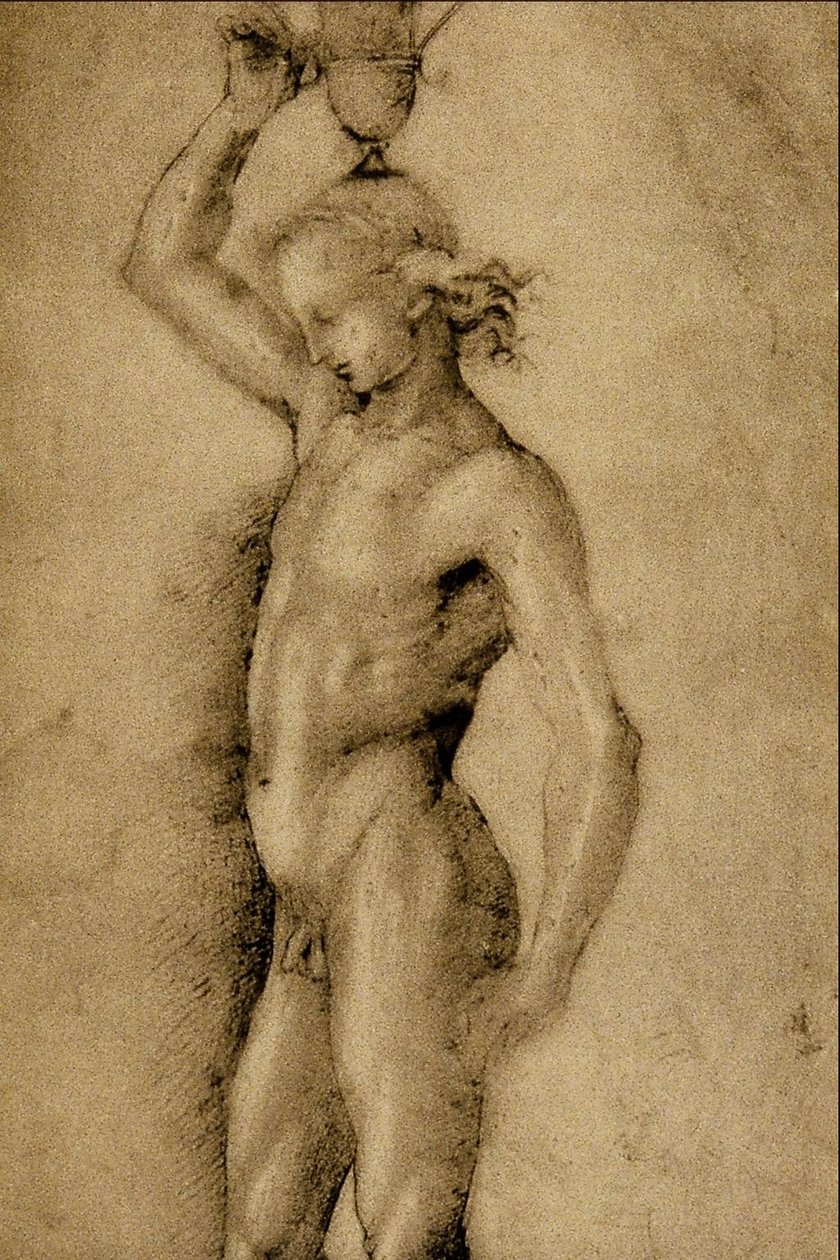 Sanzio Raffaello af Raffaello Sanzio Raphael