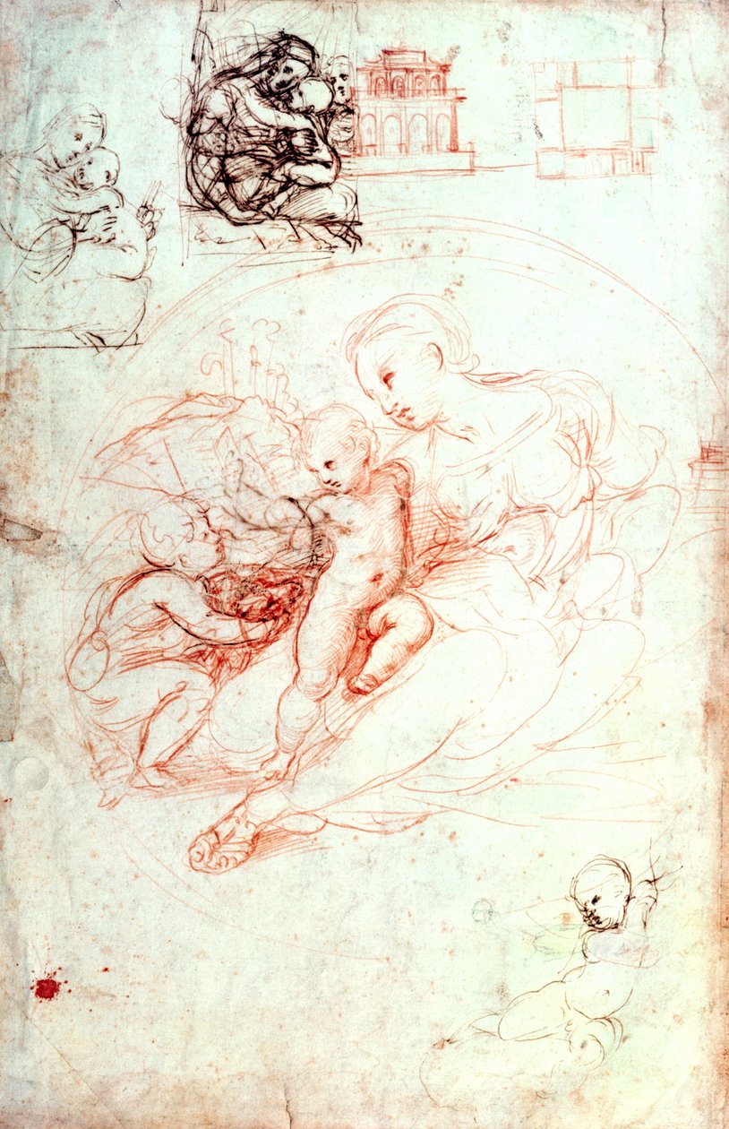 Studie til Alba Madonna, ca. 1508-09 af Raffaello Sanzio Raphael