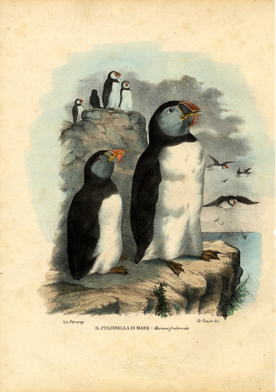 Lunder, 1863-79 af Raimundo Petraroja