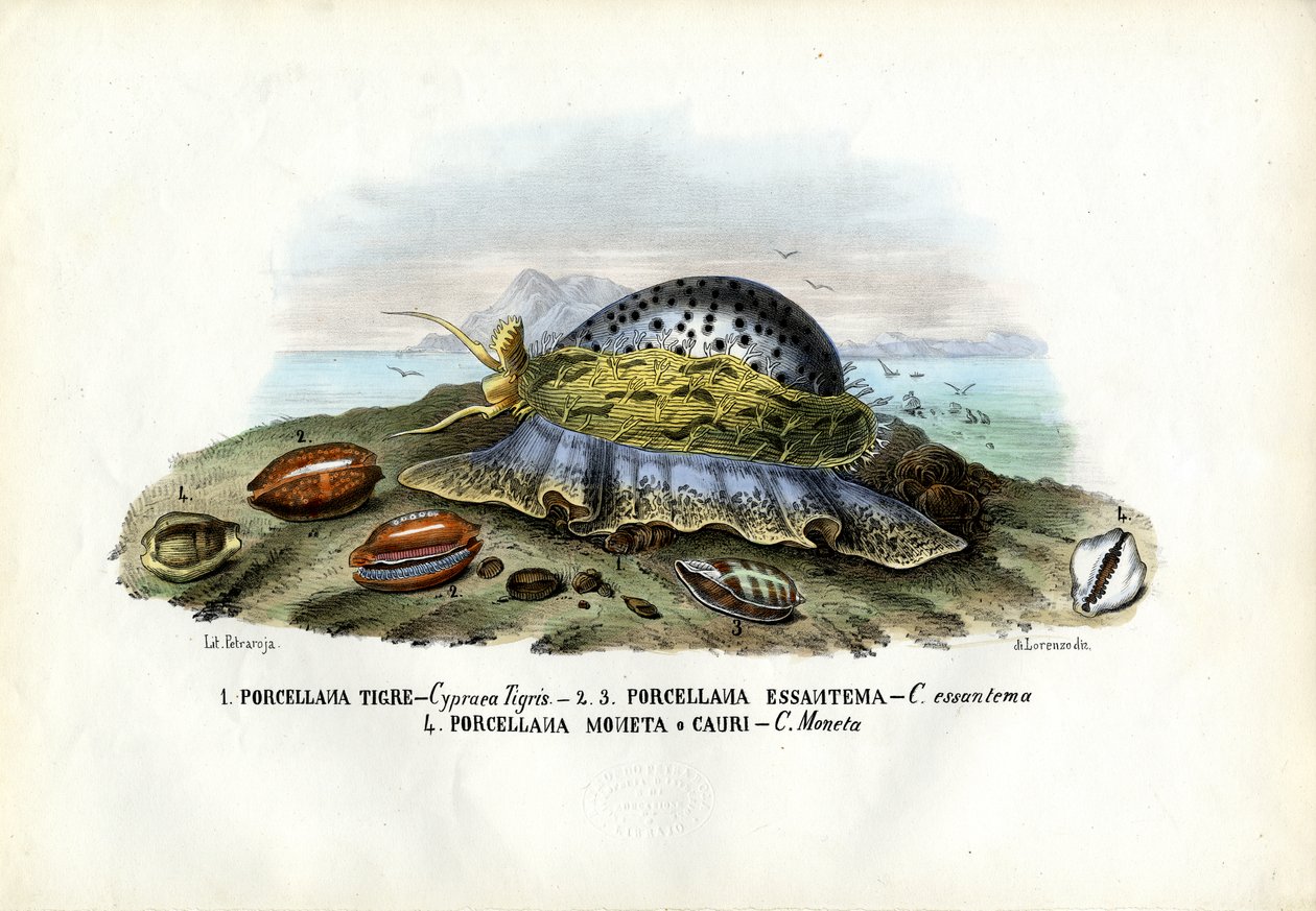 Muslinger, 1863-79 af Raimundo Petraroja