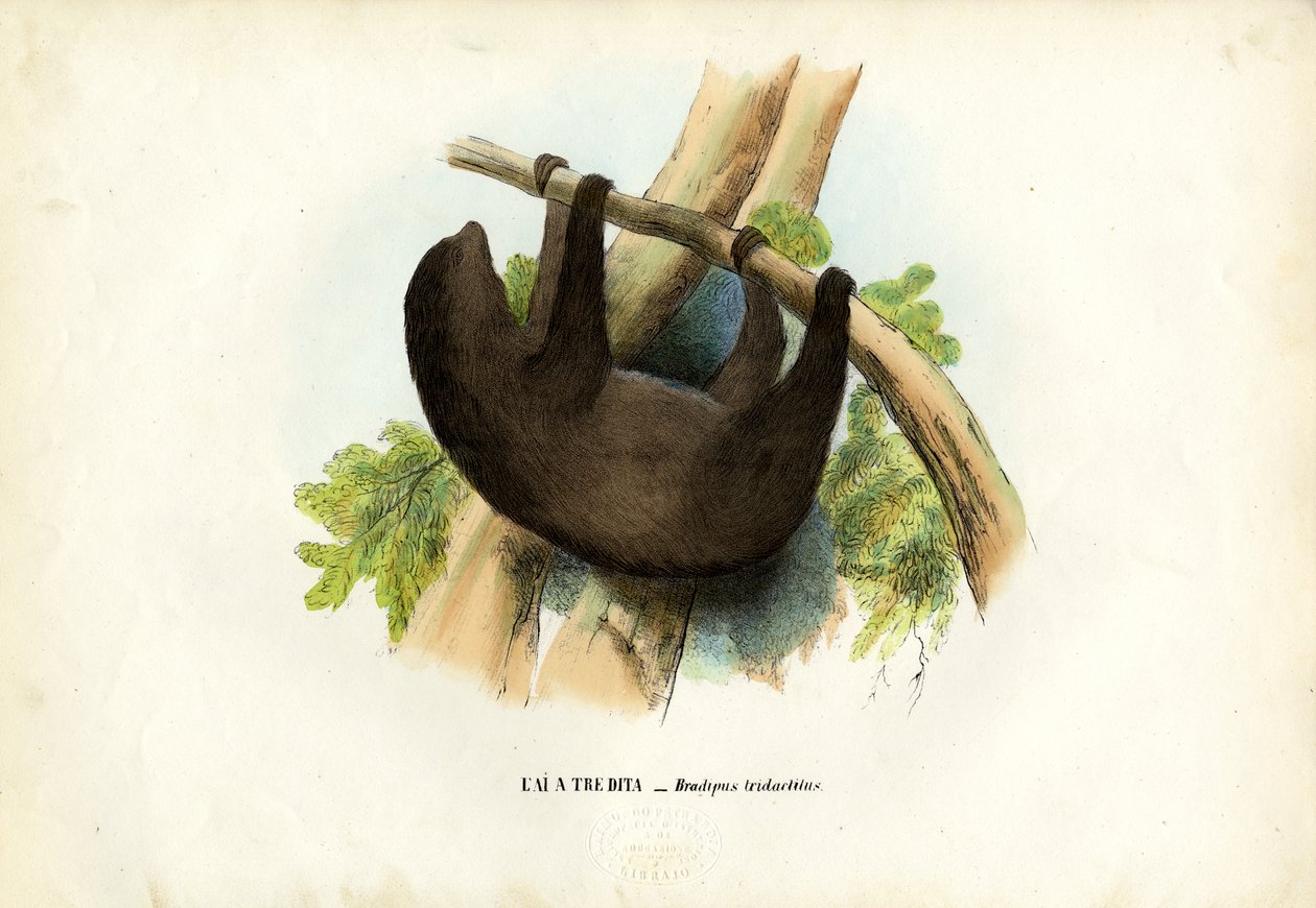 Bleghalset dovendyr, 1863-79 af Raimundo Petraroja