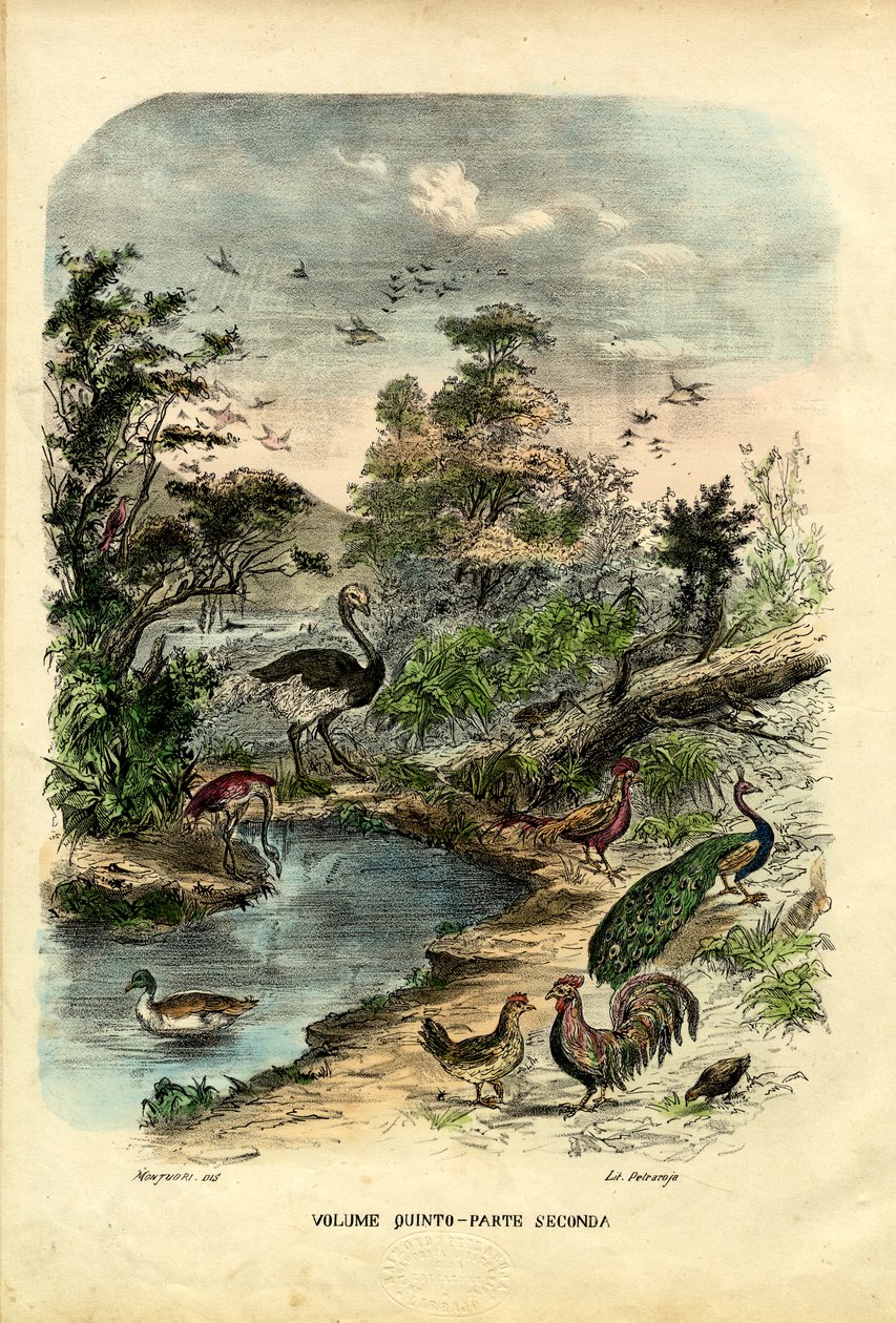 Titelblad, 1863-79 af Raimundo Petraroja