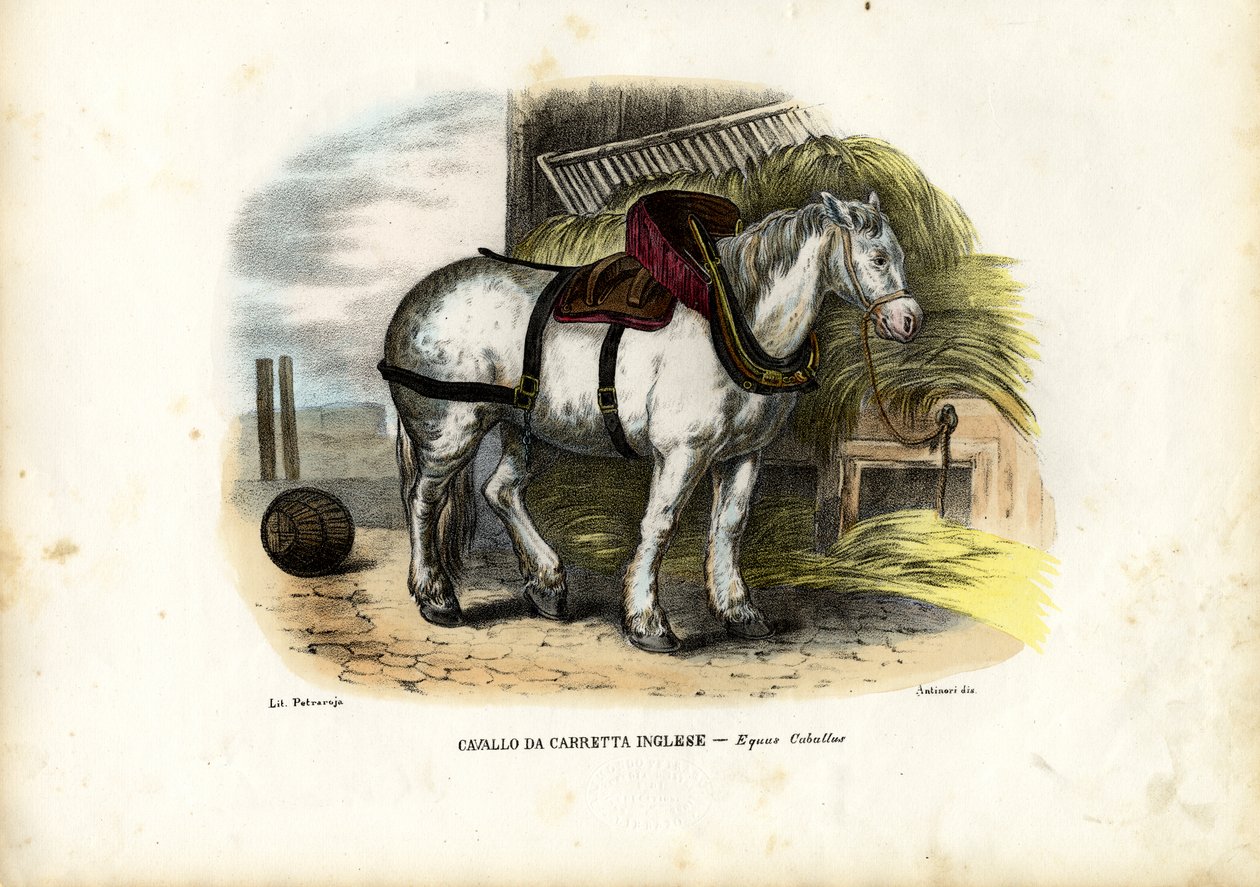Engelsk gårdhest, 1863-79 af Raimundo Petraroja