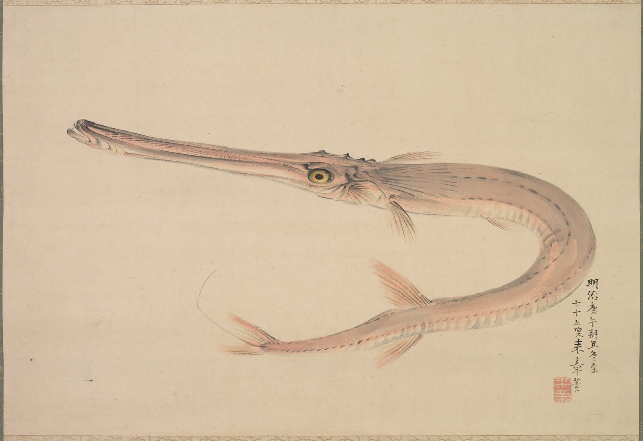 Nålefisk levede, 1870. af Raisho Nakajima