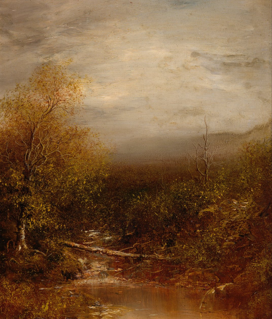 Pool i Adirondacks af Ralph Albert Blakelock