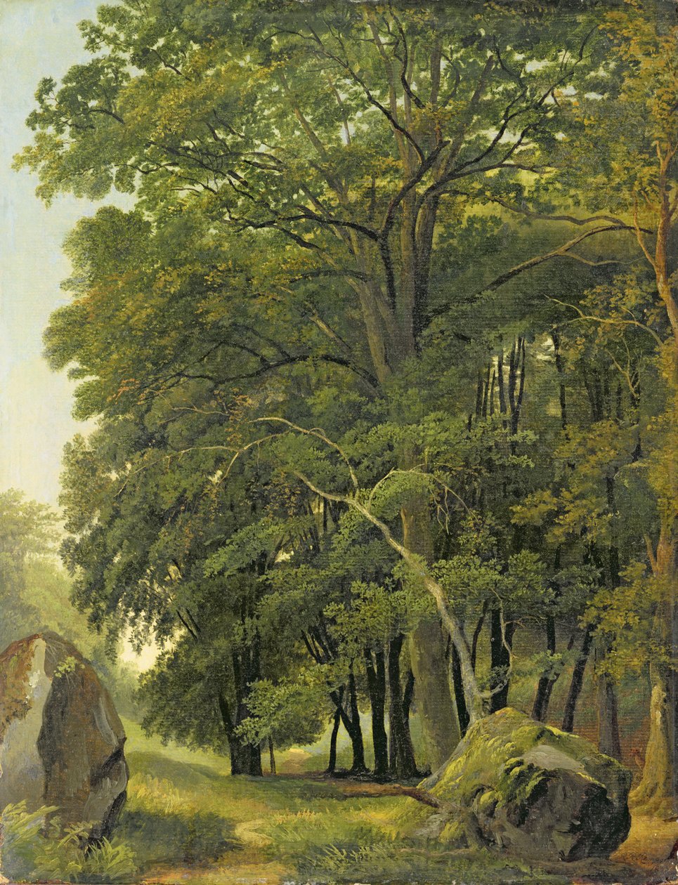 Et skovklædt landskab (olie på papir på panel) af Ramsay Richard Reinagle