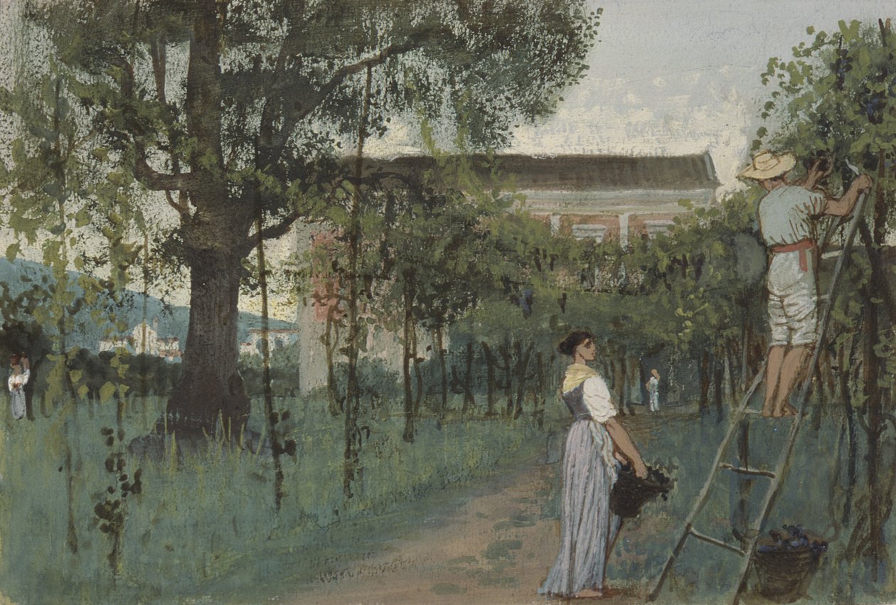 Vindrueplukning af Randolph Caldecott