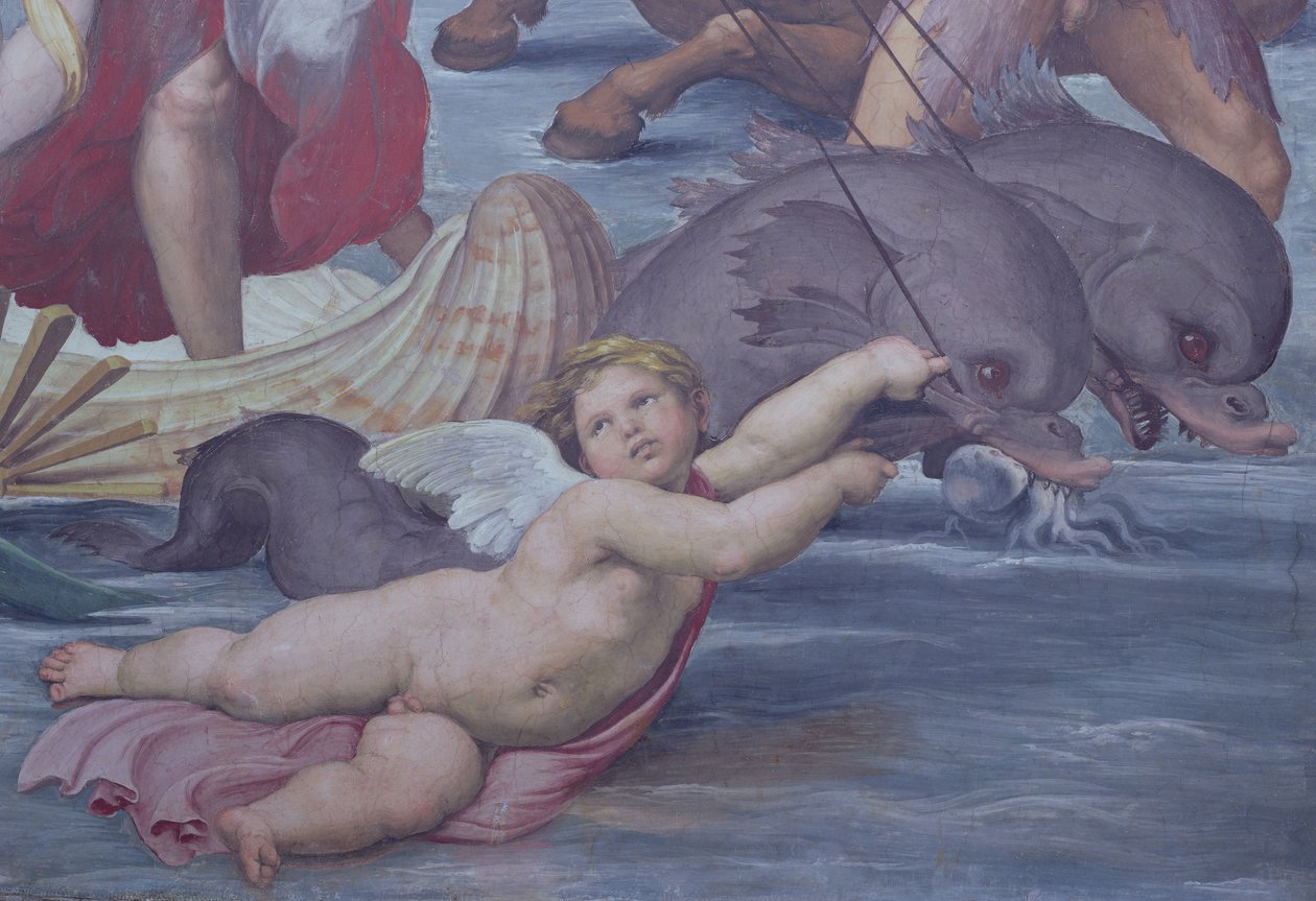 Galatea, detalje af putto og delfiner, 1506 freskodetalje af 56473 af Raffaello Sanzio Raphael